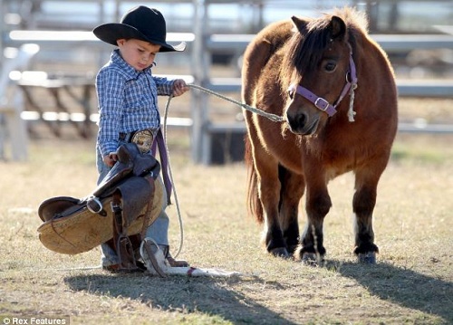 5 Reasons Horseback Riding Helps in Child Development – Horse Spirit