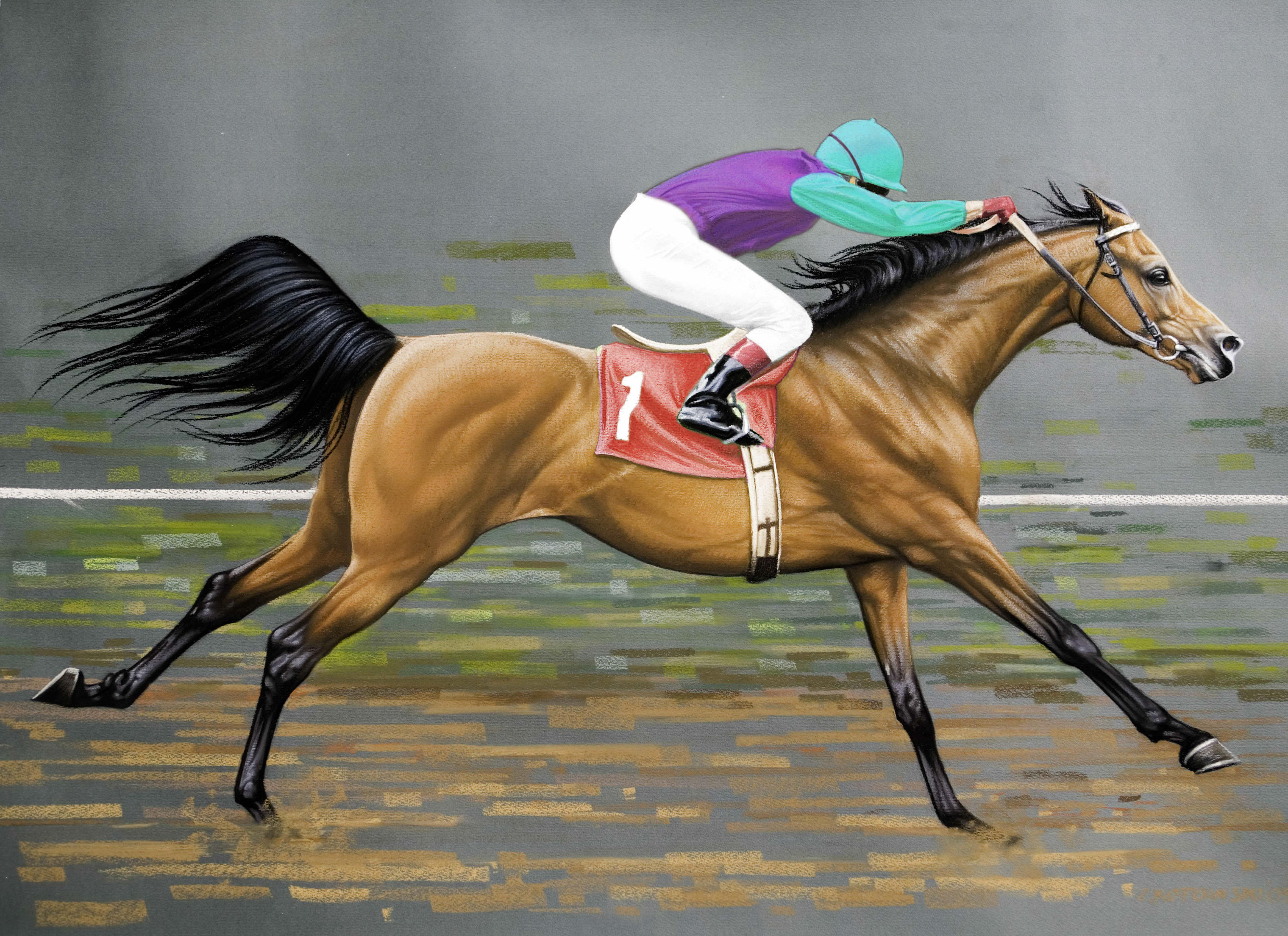 Horse Screwing Women