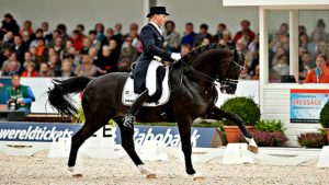 stallions shined sire modest dollars