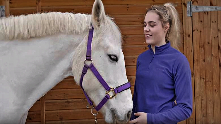 Successful horse clipping results