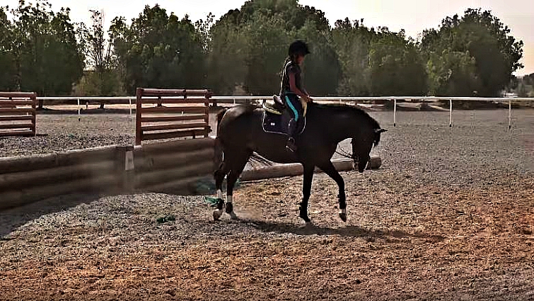 Determined young equestrian continues riding