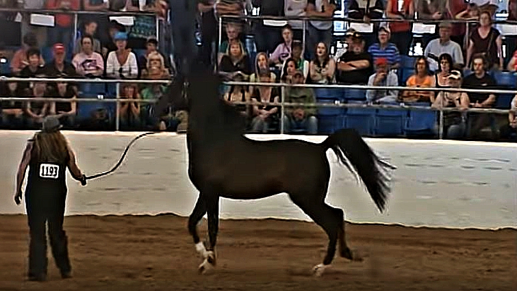 This image has an empty alt attribute; its file name is moj1.jpg