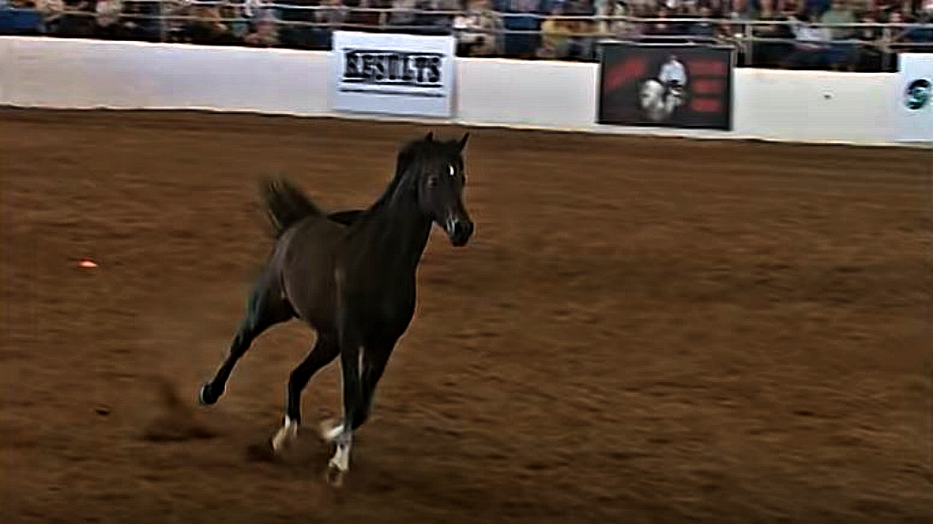 This image has an empty alt attribute; its file name is moj2.jpg