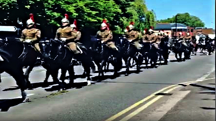 Ceremonial horses in royal wedding parade preparation