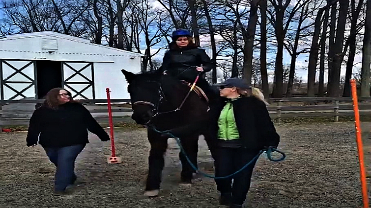 Therapy horse interaction benefits for special needs children