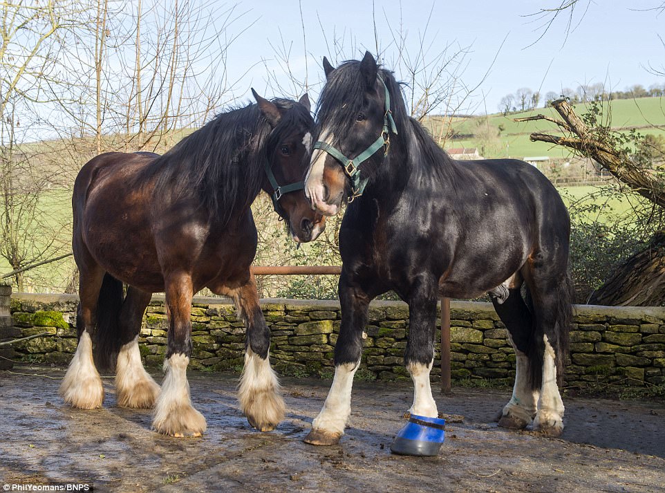 Beau shows affection and support to Beatrice