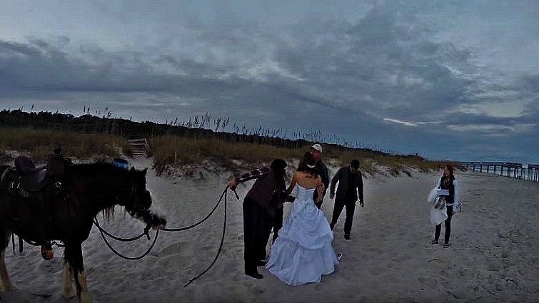 Beach aftermath of horse incident