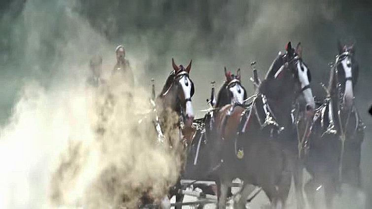 This image has an empty alt attribute; its file name is bts2.jpg