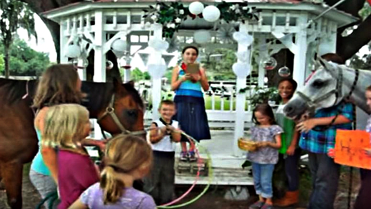 Horses kissing with hula hoop rings