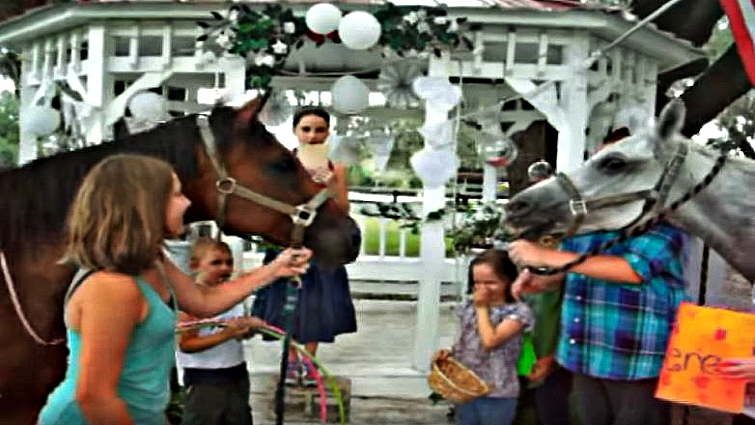 Full view of horse wedding ceremony