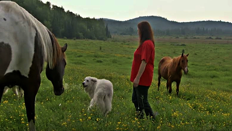 Titan and Indie playing together on the farm