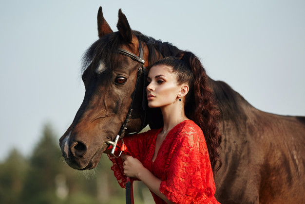 Horse and rider bond