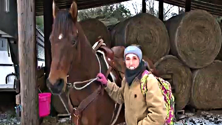 Rascal the horse during winter commute