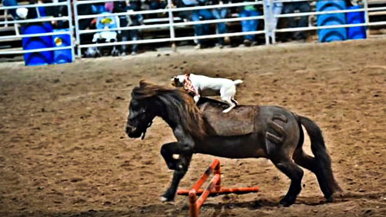 Spanky and Dally best friends