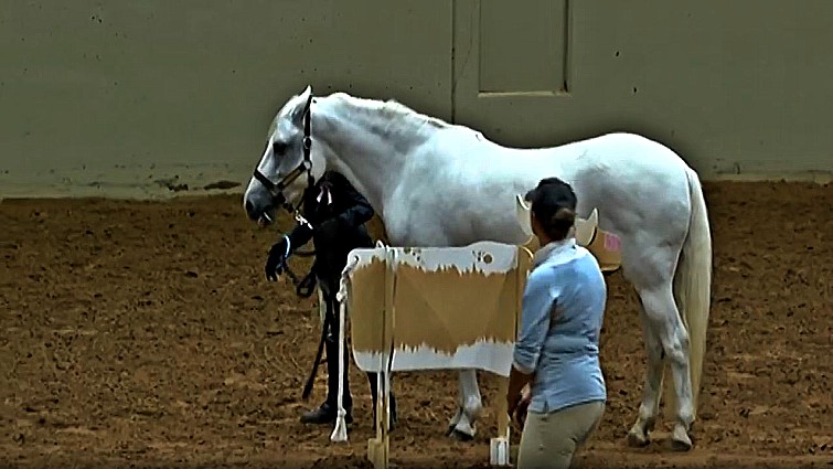 Persistent horse refusing to leave flowers
