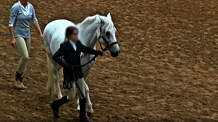Young handler with horse at show venue