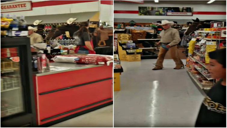 Close-up of horse in Tractor Supply