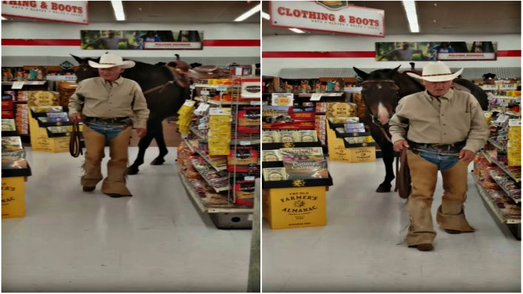 Cowboy and horse shopping together
