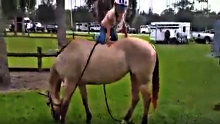 Young rider mounted safely on patient horse