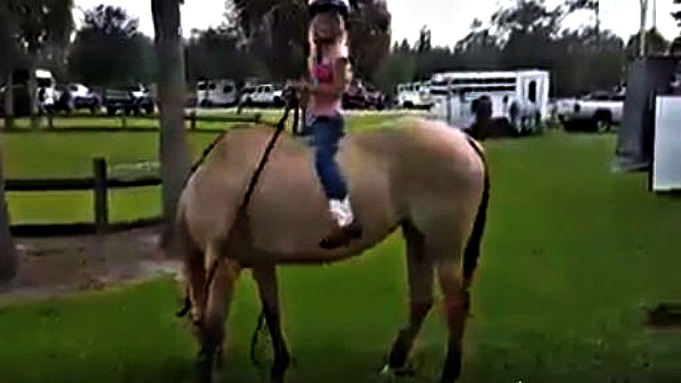 Successful mounting moment between child and patient horse