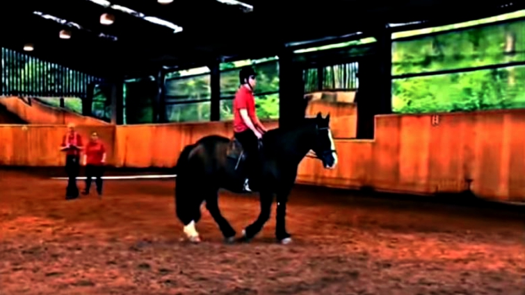 Richard Brumby's equestrian journey