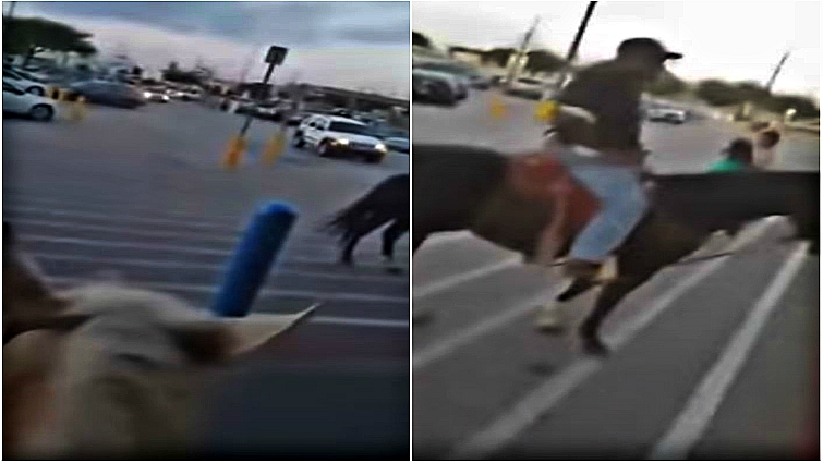 Cowboy on horse in retail store