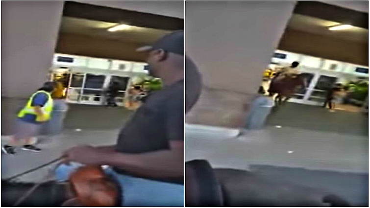 Shoppers stare at horse in Walmart