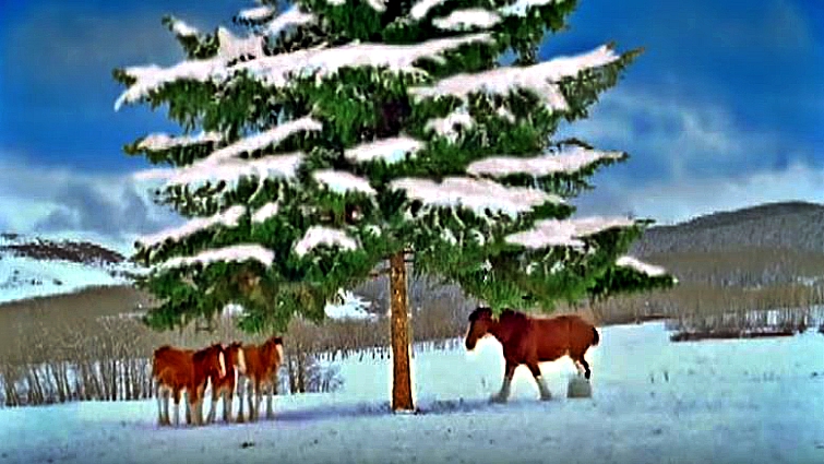 Snowy Clydesdale commercial scene
