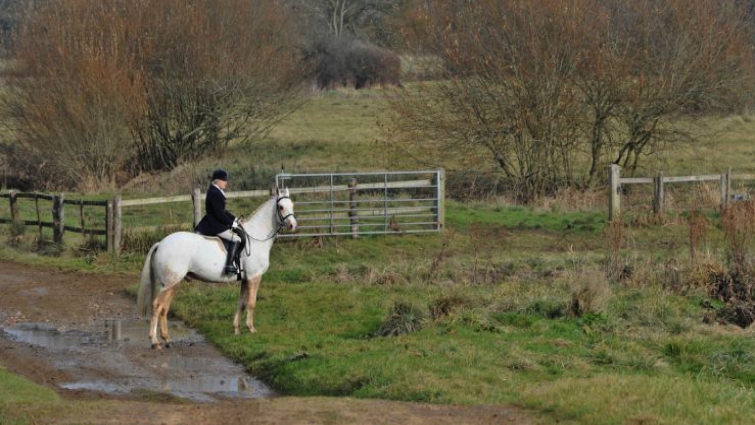 Hunting season action with experienced riders