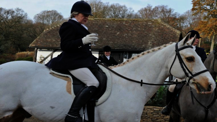 Portrait of dedicated equestrian at hunt