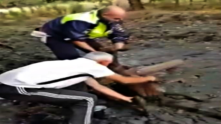Rescue team working together