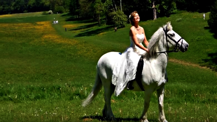 Horse and bride at wedding ceremony