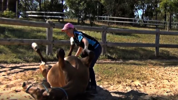 Horse and trainer bonding moment