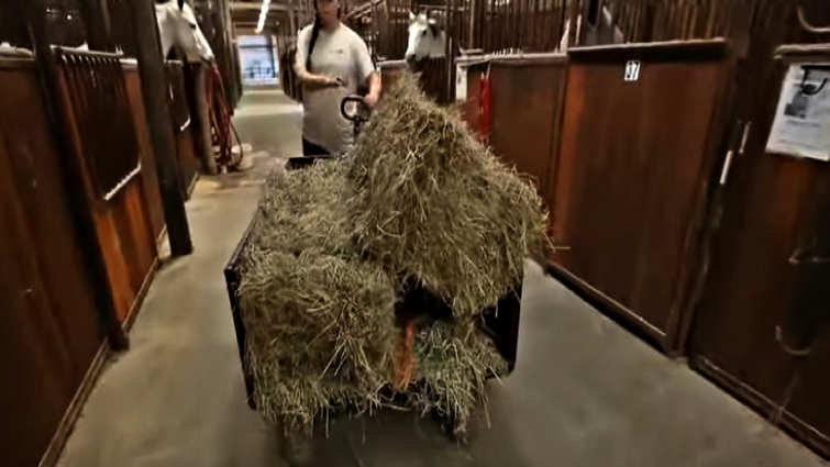 Teen bonding with horse at barn