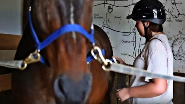 Morgan's equine therapy success
