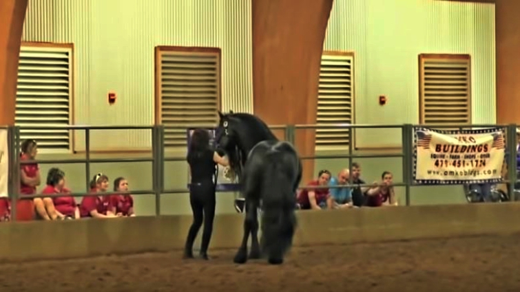 Frederik the Great galloping