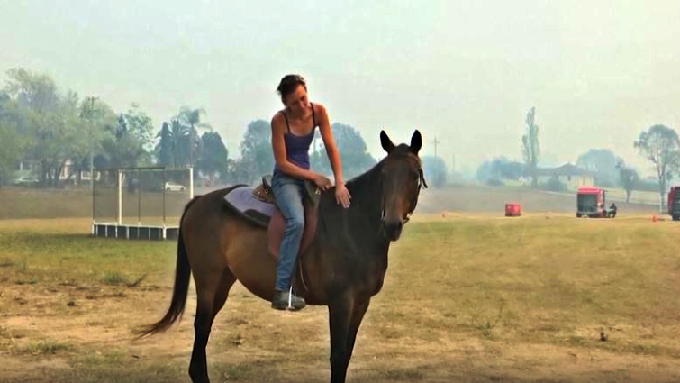 Charmer the horse after rescue