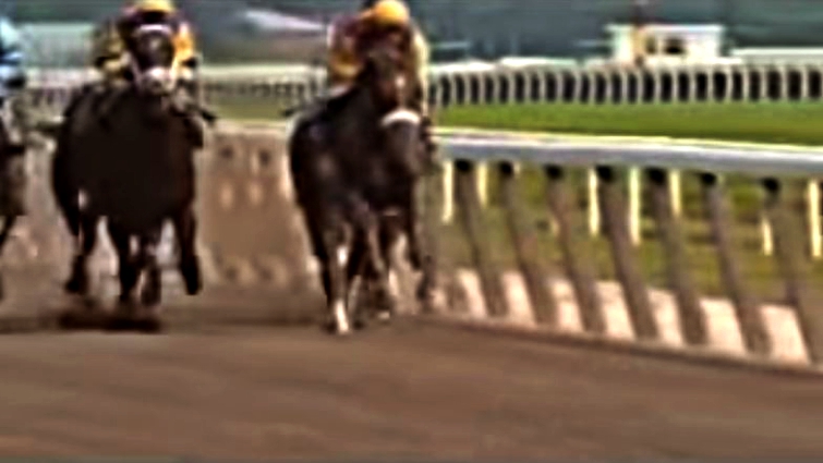 This image has an empty alt attribute; its file name is hic4.jpg