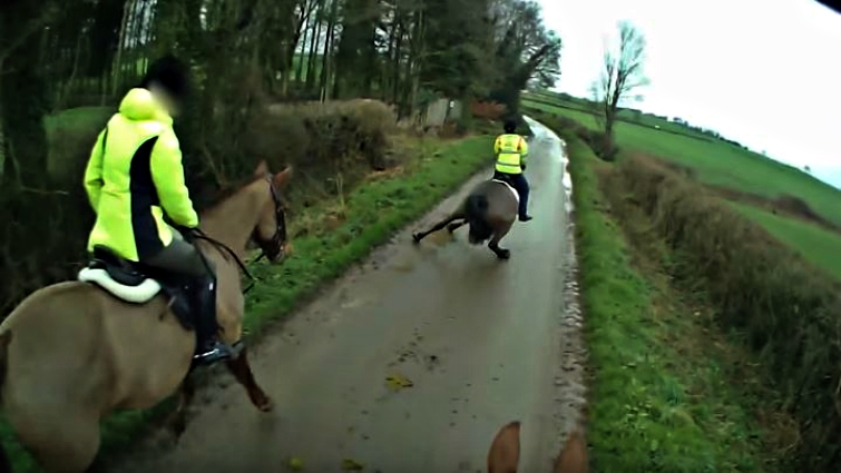 Horse slip on road