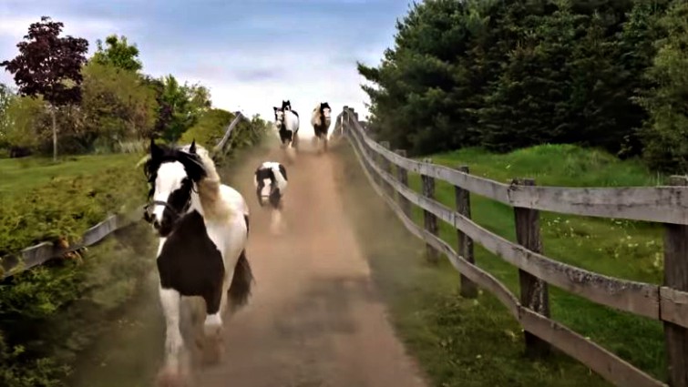 This image has an empty alt attribute; its file name is dsgv2.jpg