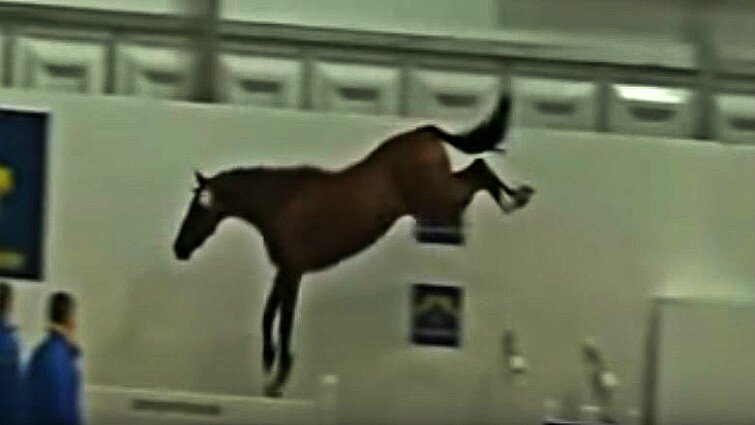 This image has an empty alt attribute; its file name is ethj4.jpg