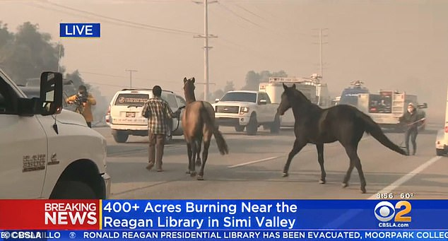 Wildfire evacuation support services