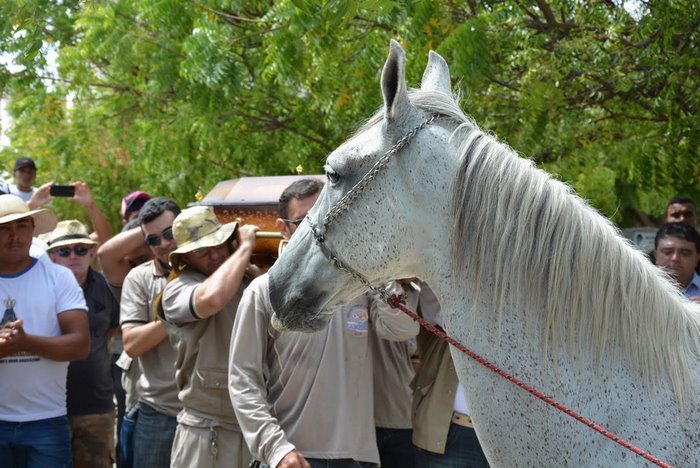 Horse emotional farewell at funeral