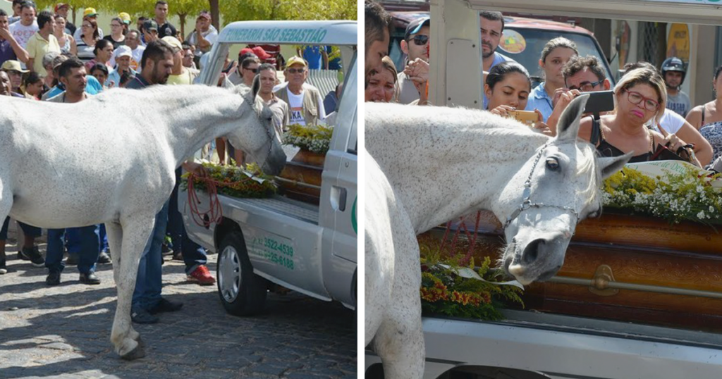 Horse farewell ceremony Brazil