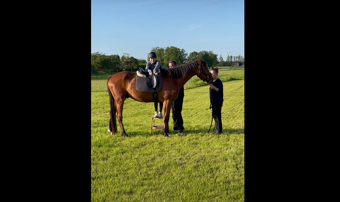 Horse Gets Scared By Its Own Fart And Sends Rider Flying Horse Spirit