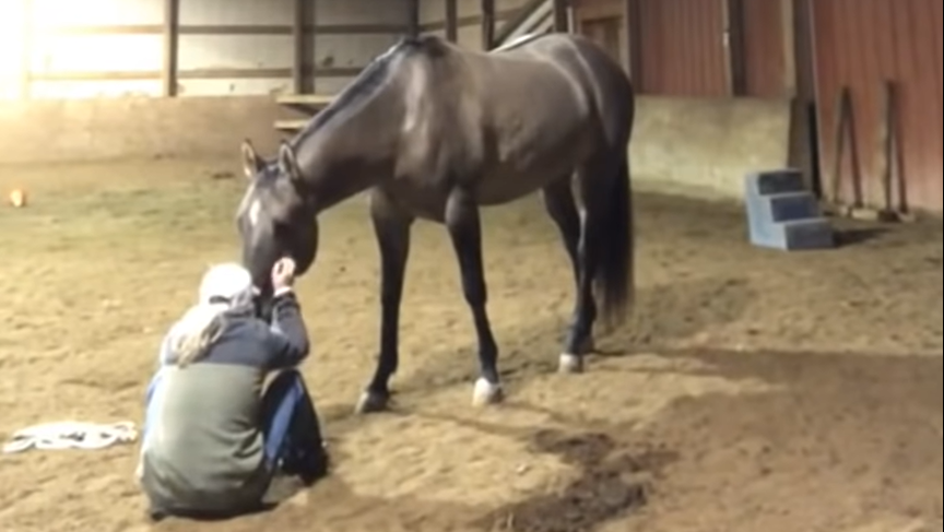 защитная реакция лошади. лошадь украла банан. защитная реакция лошади. лошадь в воде мем. защитная реакция лошади.